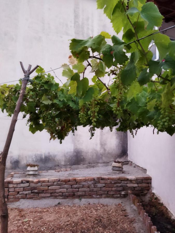 Villa Vista Himarë Exteriér fotografie