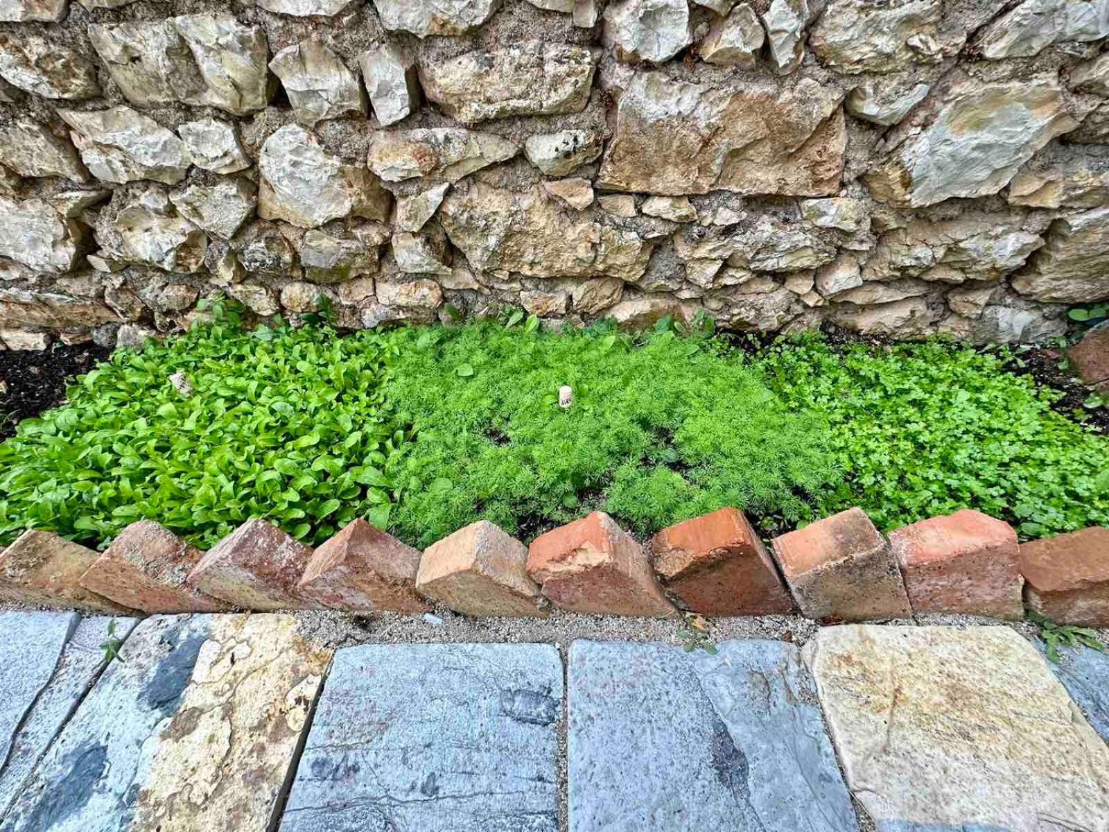 Villa Vista Himarë Exteriér fotografie